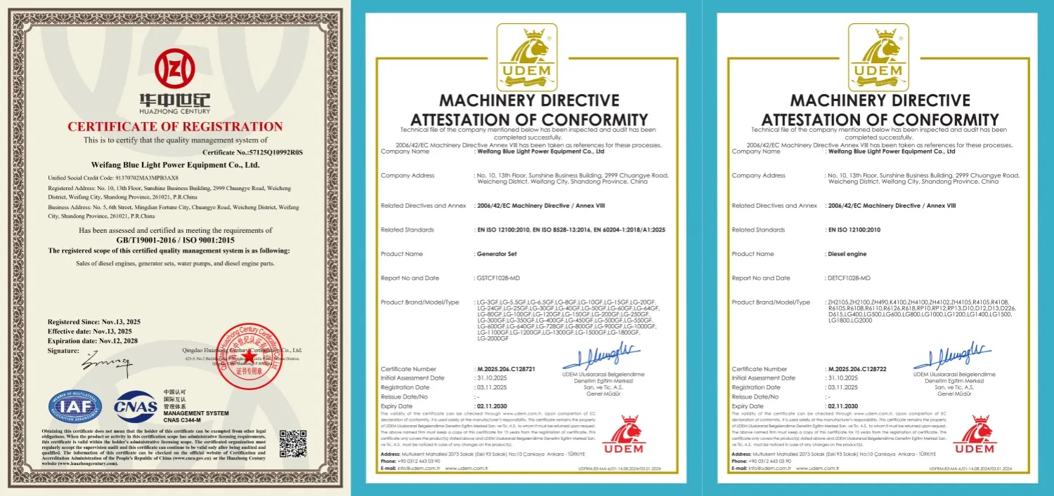 Optimal Selection of Electric Motor Diesel Engine Driven Water Pump for Emergency Drainage in Farmland Irrigation