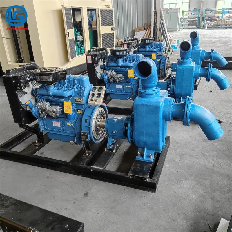 Optimal Selection of Electric Motor Diesel Engine Driven Water Pump for Emergency Drainage in Farmland Irrigation