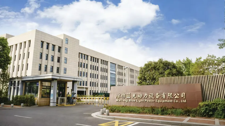 Optimal Selection of Electric Motor Diesel Engine Driven Water Pump for Emergency Drainage in Farmland Irrigation