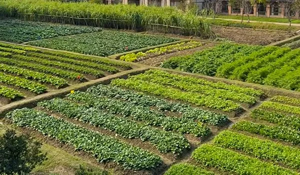 Intelligent High Suction Range Diesel Engine Vacuum Assisted Emergency Flood Control Pump, High Pressure Centrifugal Water Pump