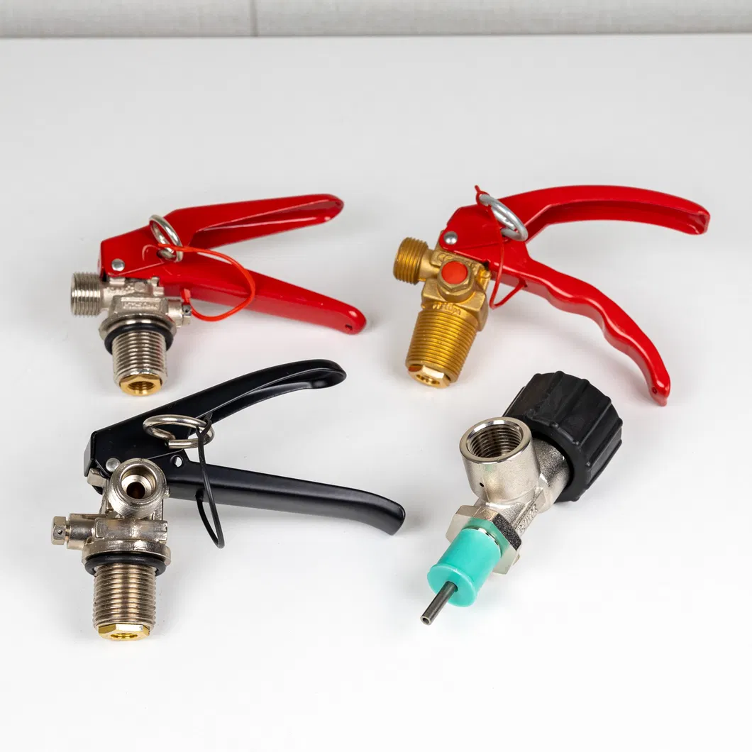 Advanced 2kg Fire Fighting Equipment Apply to Weld