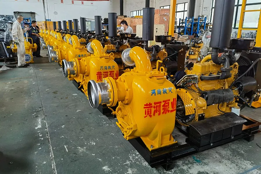 Flexible Use of Mobile Internal Combustion Engine Driven Vacuum Assisted Basement Drainage Pump