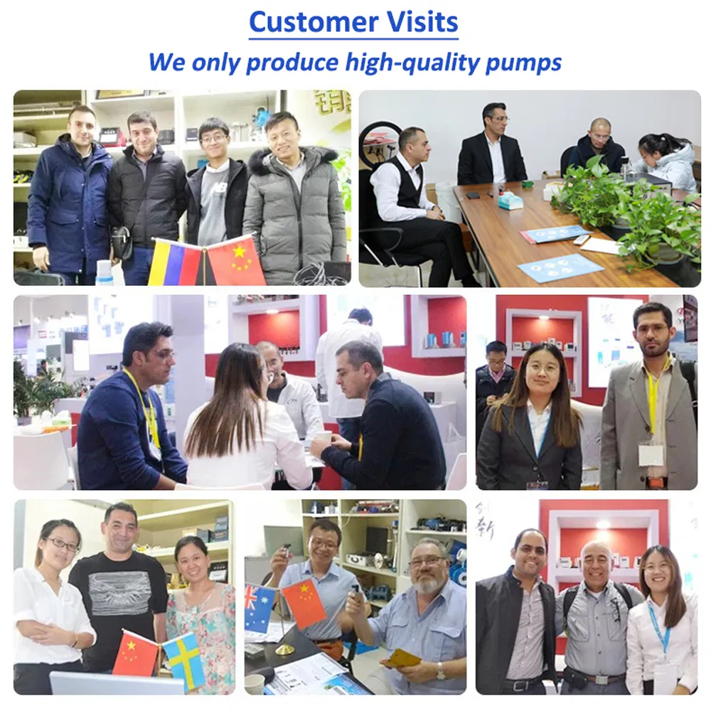 Stainless Steel Multi-Stage Centrifugal Pump Chm Household Variable Frequency Constant Pressure Booster Pump Chl Intelligent Automatic Industrial Booster Pump