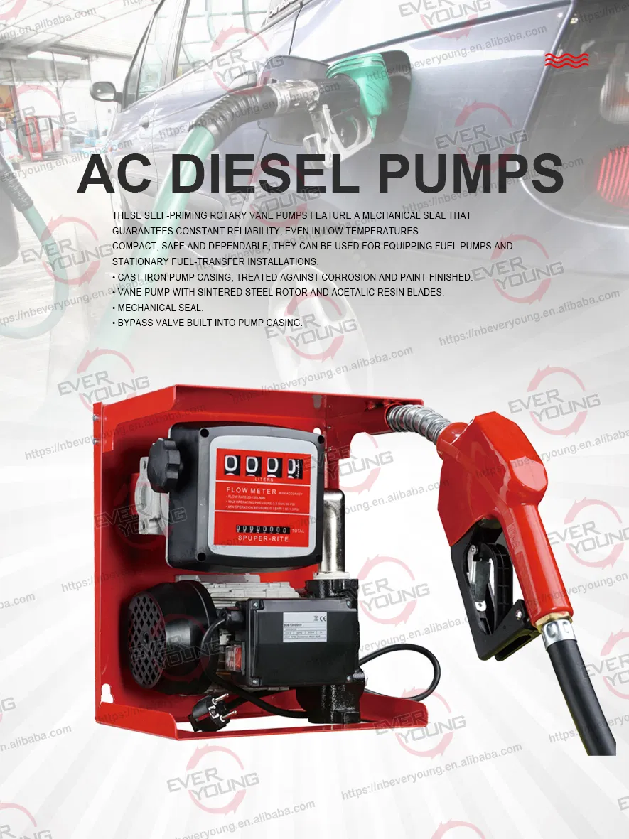 Portable 12V Diesel Transfer Pump for Vacuum Usage for Oil Transfer