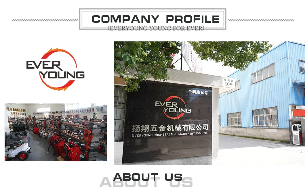 Portable 12V Diesel Transfer Pump for Vacuum Usage for Oil Transfer