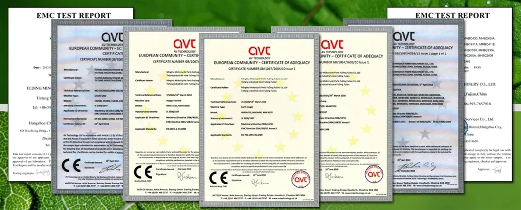 High Effective 2 Stroke 43cc Floating Water Pump