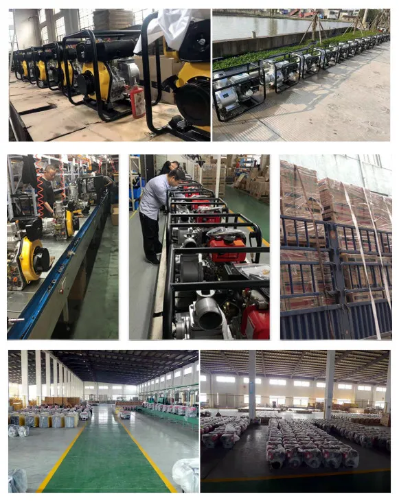 Portable Diesel Pump, 4-Inch, 6-Inch, 5HP Mobile Water Pump