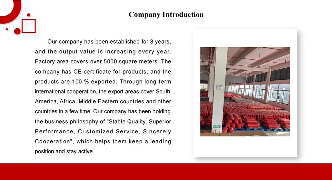 High Quality Automatic Hanging Fire Extinguisher Safety Equipment