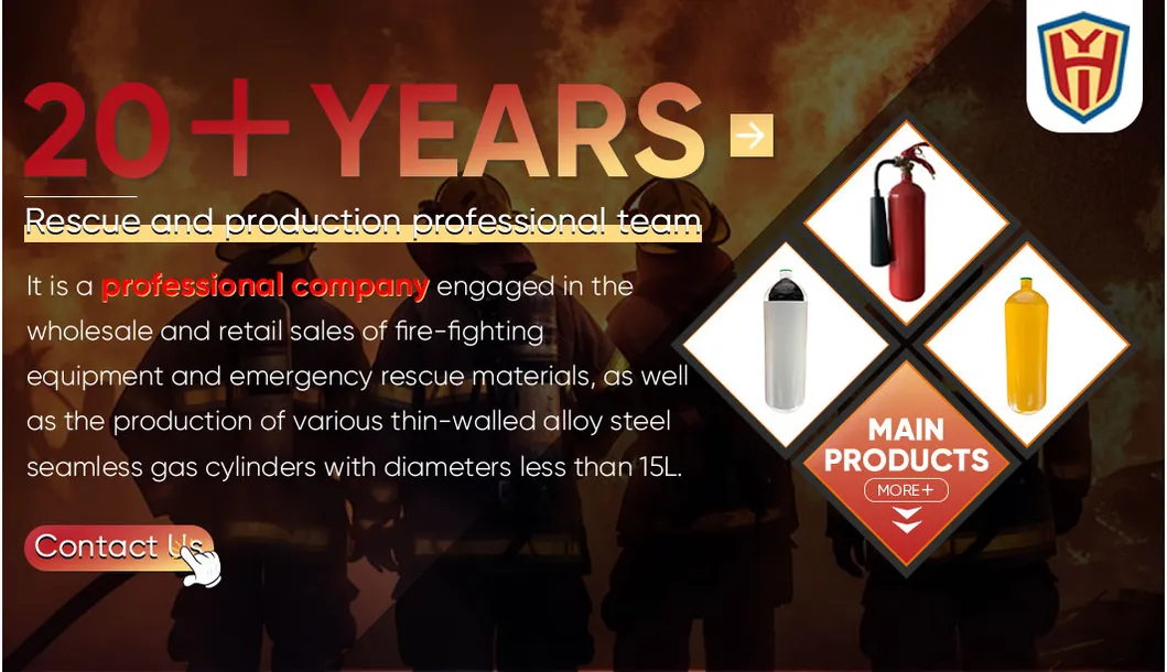 Advanced 2kg Fire Fighting Equipment Apply to Weld