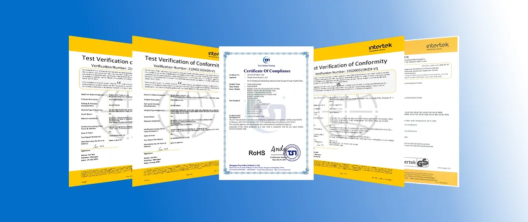 St3-2200 (STP) Smart Controller with Pressure Gauge and Timing Function Auto-Adaptable