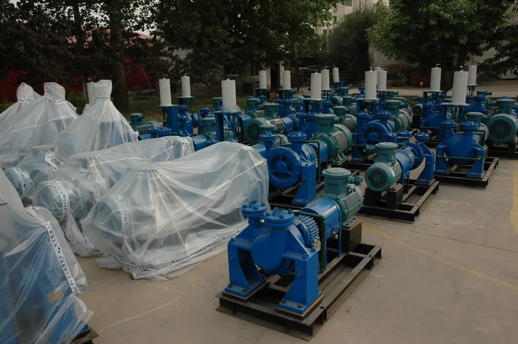 Cwy Marine Diesel Engine Drived Emergency Fire Pump