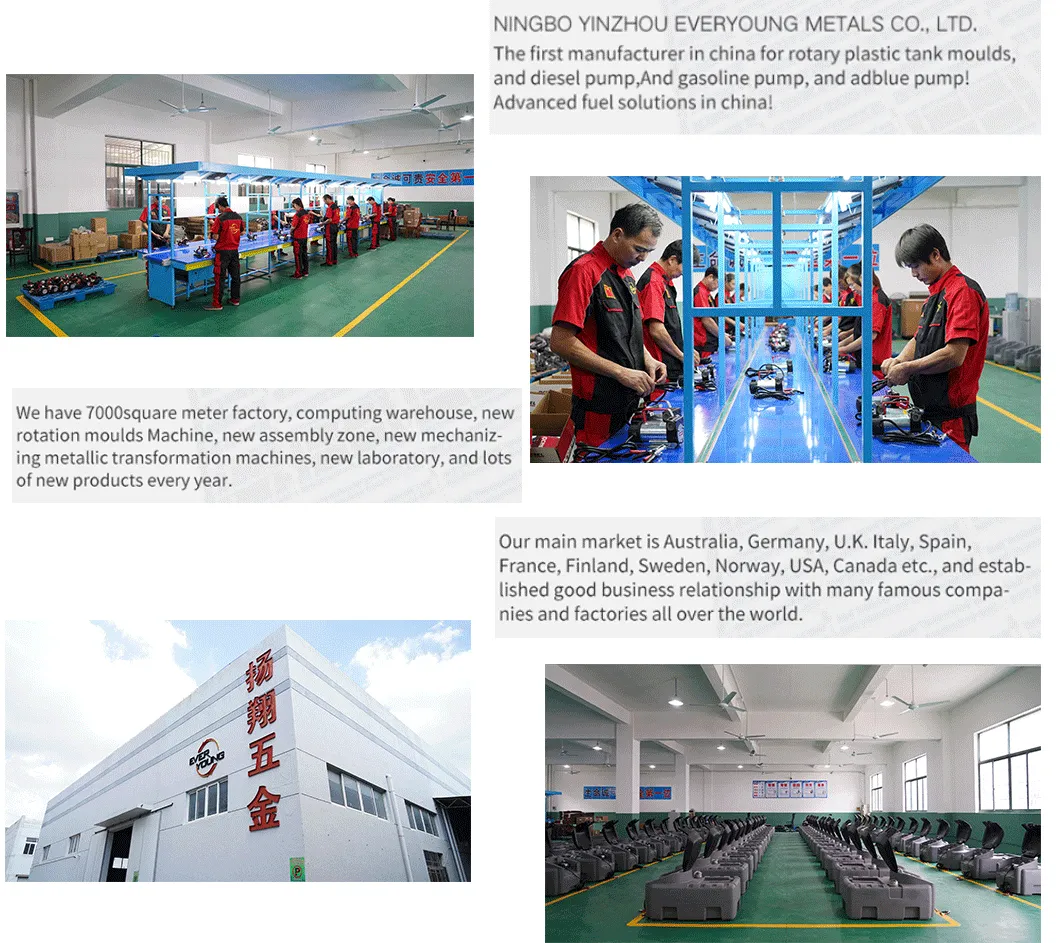 Portable 12V Diesel Transfer Pump for Vacuum Usage for Oil Transfer