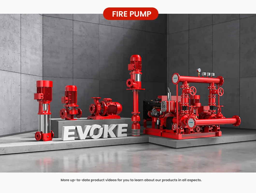 Esm Advanced Emergency Pump China Electric Pump Suppliers Evoke