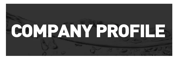 Edj Fire Fighting System with Electric Diesel Jockey Pump with Controller