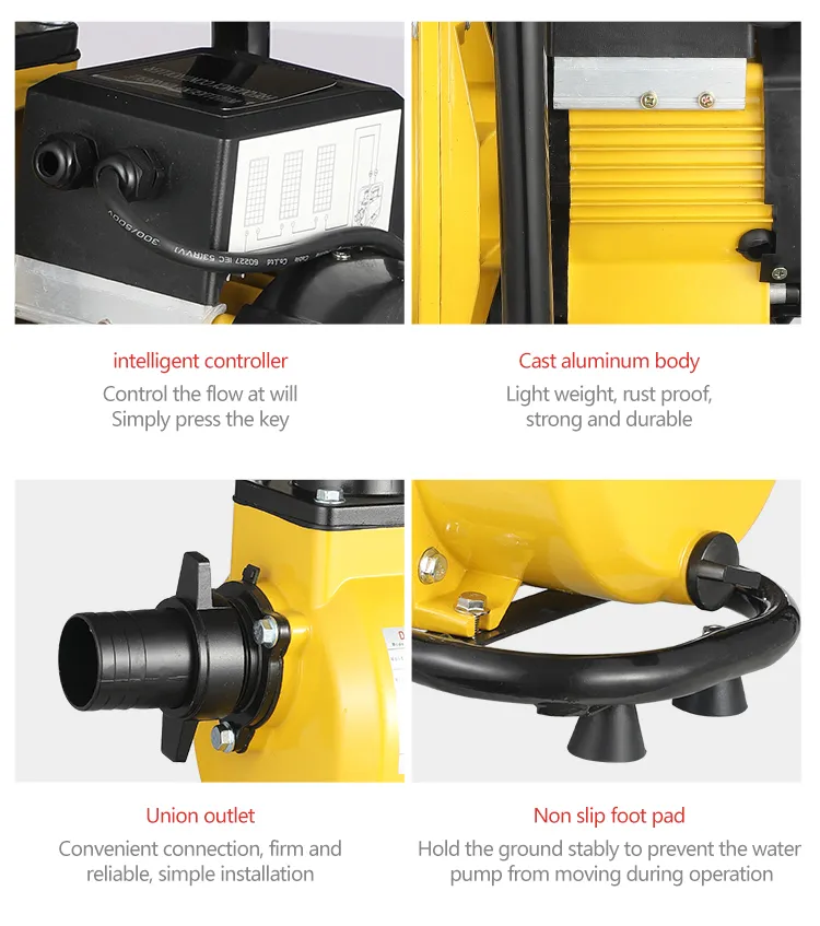 Solar Powered Portable Irrigation Water Pump with Stand for Irrigation System Large Flow, Can Be Customized