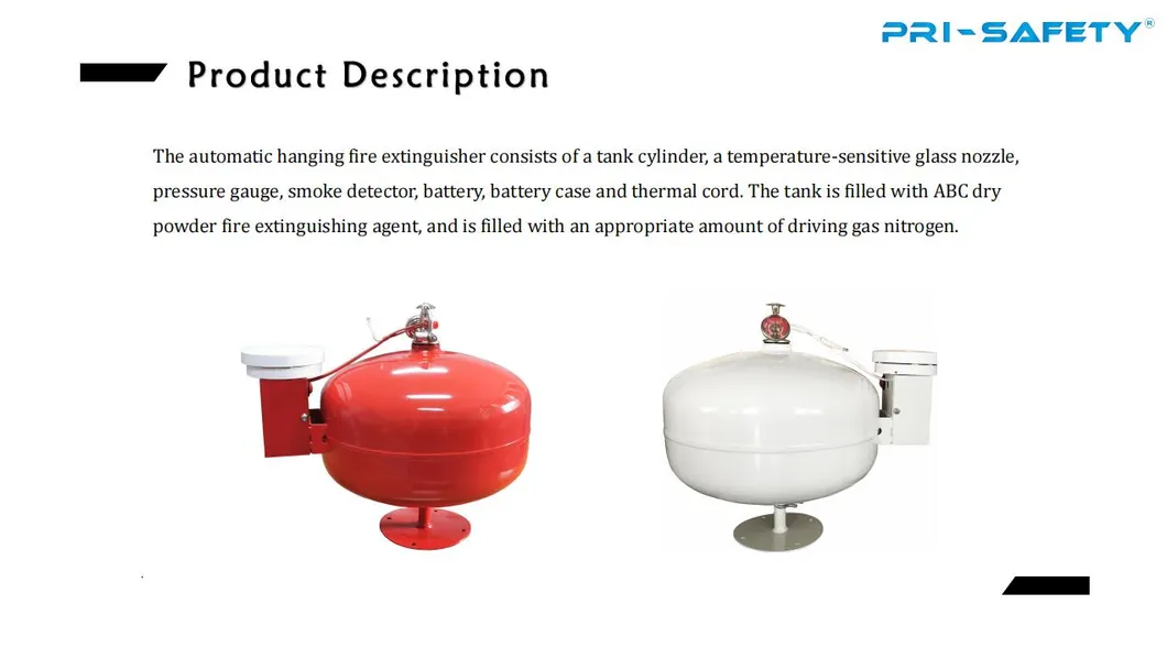 Fire Safety Equipment Affixed to Walls