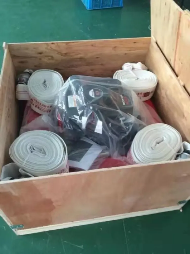 High Quality Ftq Portable Fire Emergency Rescue Remote Control Floating Boat Pump