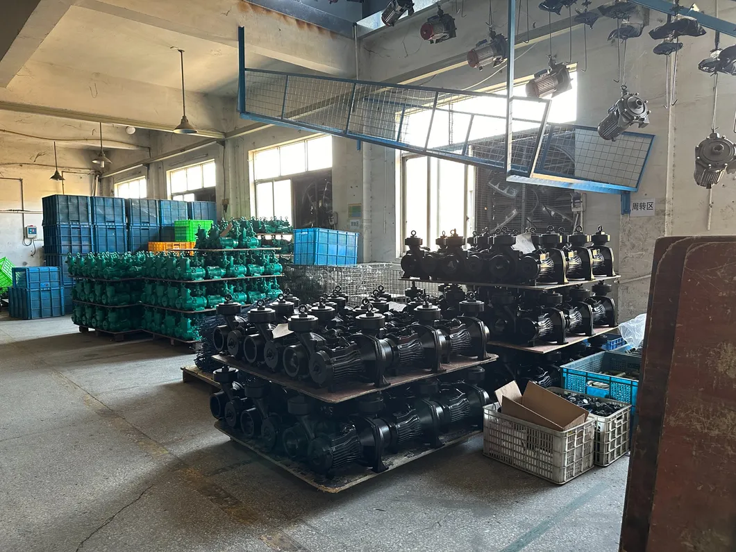 St3-2200 (STP) Smart Controller with Pressure Gauge and Timing Function Auto-Adaptable