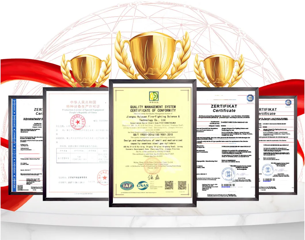 Advanced 2kg Fire Fighting Equipment Apply to Weld