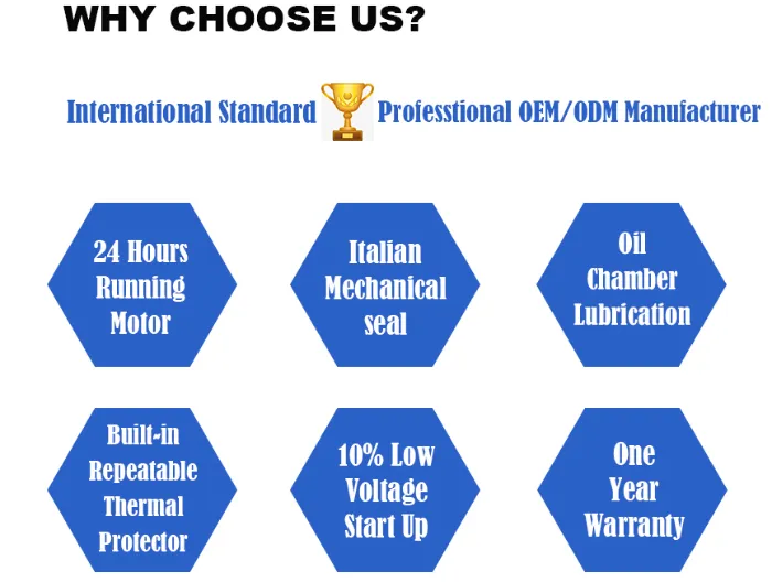 Domestic Household Small Portable Plastic Centrifugal Submersible Electric Water Drainage Pump with Float Switch for Garden Basement Tank Sump Pond Pool