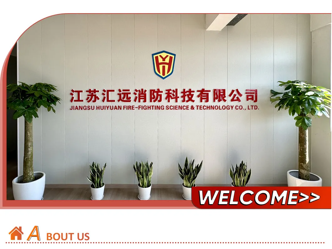 Advanced 2kg Fire Fighting Equipment Apply to Weld