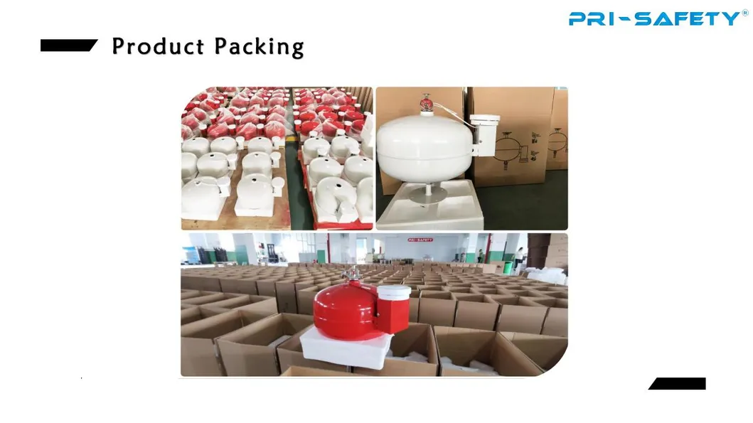 Fire Safety Equipment Affixed to Walls