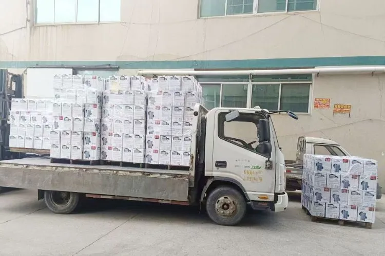 Landis Automatic Pressure Control Booster Automatic Self Priming Water Pump