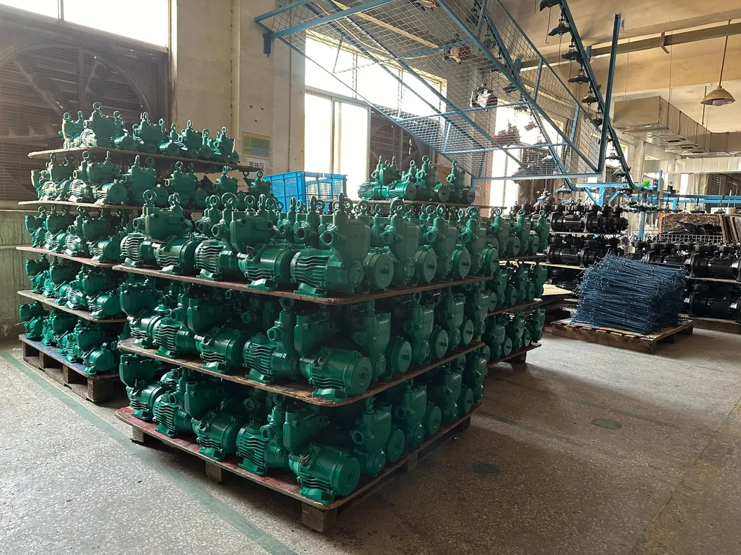 St3-2200 (STP) Smart Controller with Pressure Gauge and Timing Function Auto-Adaptable