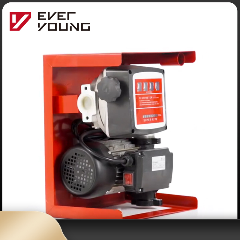 Portable 12V Diesel Transfer Pump for Vacuum Usage for Oil Transfer