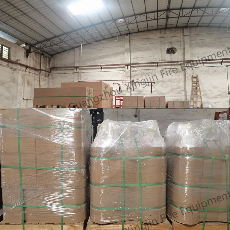 Pre-Engineered FM200 Fire Fighting Equipment Installation