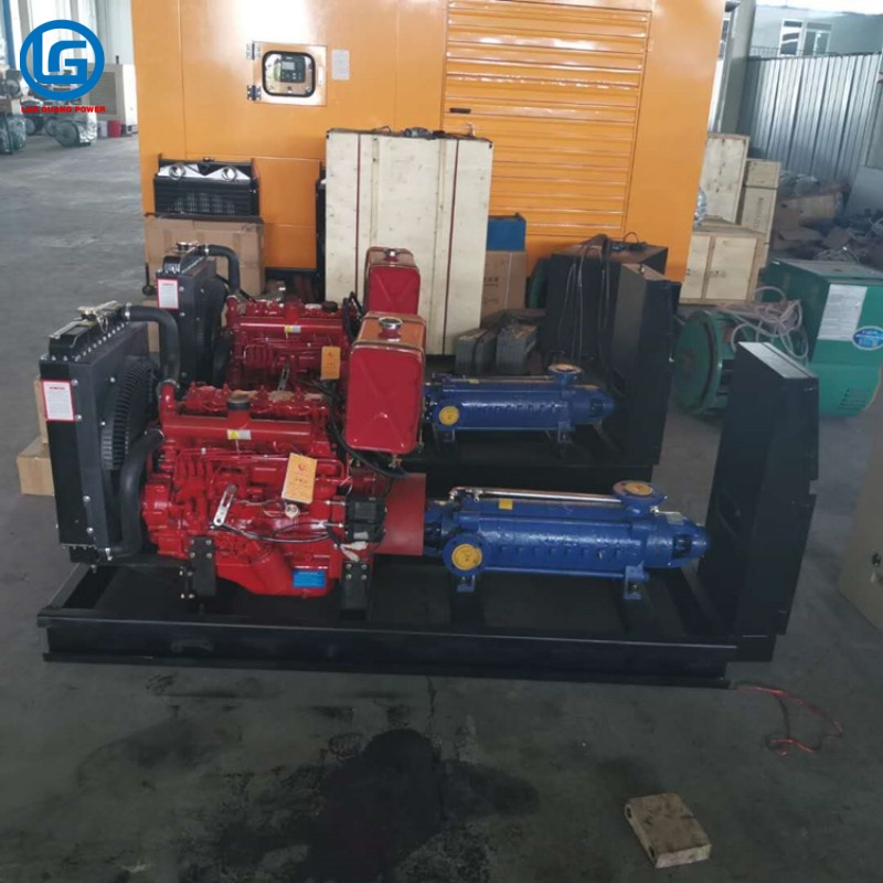 Optimal Selection of Electric Motor Diesel Engine Driven Water Pump for Emergency Drainage in Farmland Irrigation