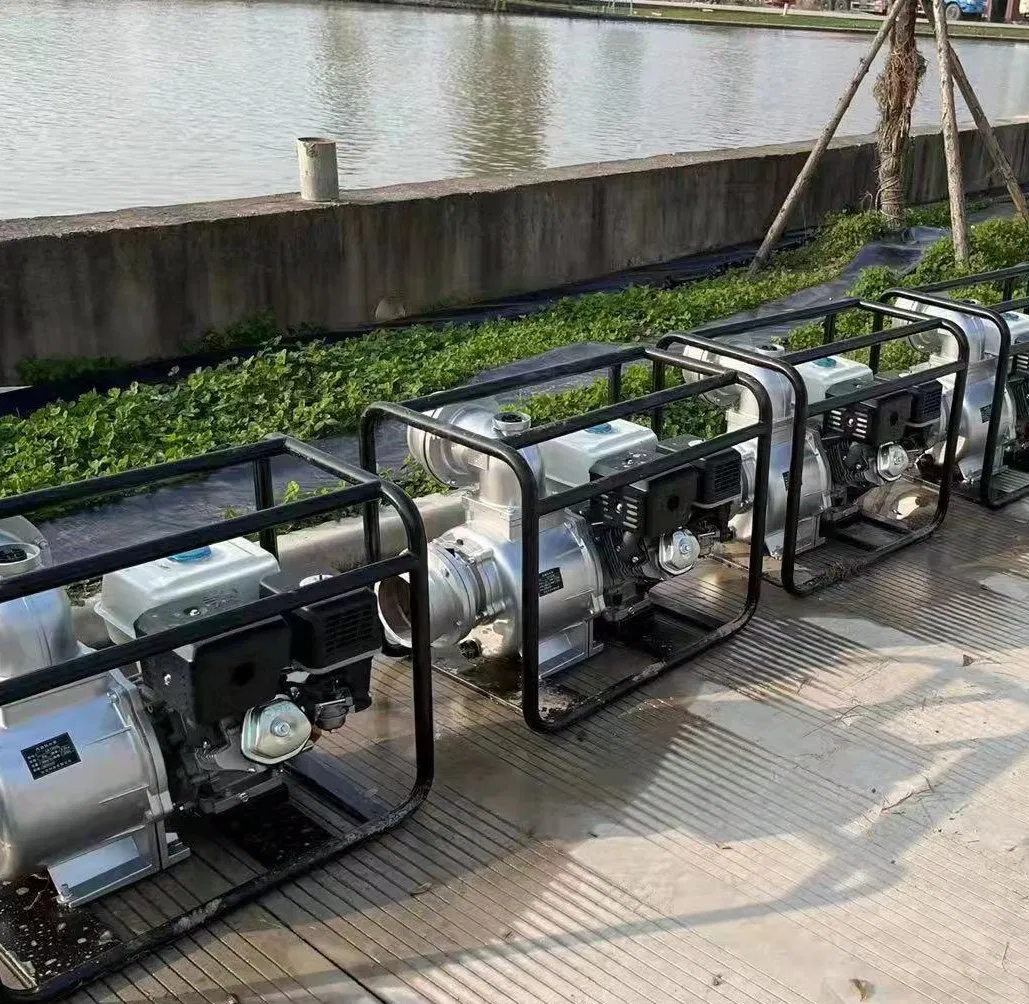 Portable Diesel Pump, 4-Inch, 6-Inch, 5HP Mobile Water Pump