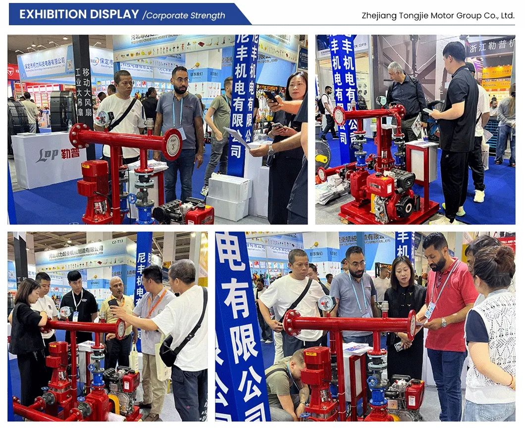 Stable and Continuous Output Customization Disw65-315 Diesel Fire Pump Set