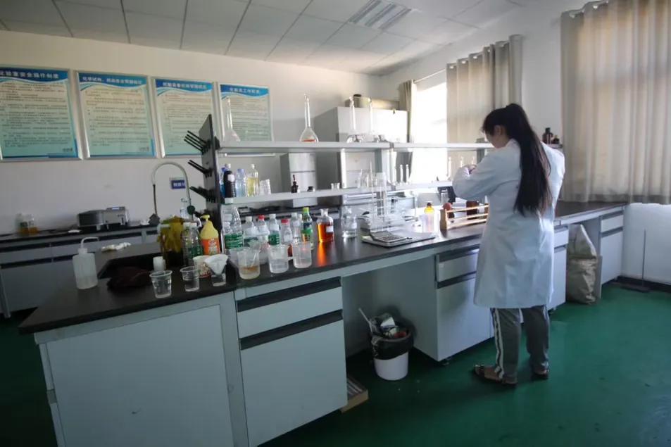 Bw160 Bw250 Mobile Diesel Engine Triplex Slurry Mud Pump for Water Well Drilling Rig