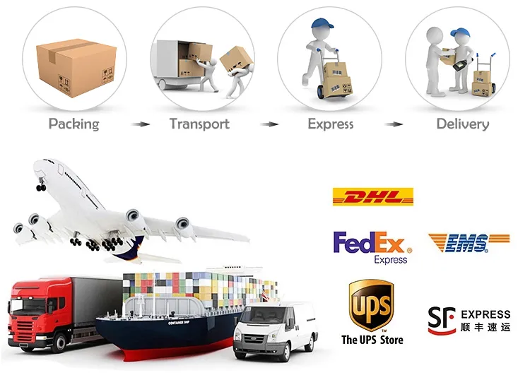 Shipping Logistics