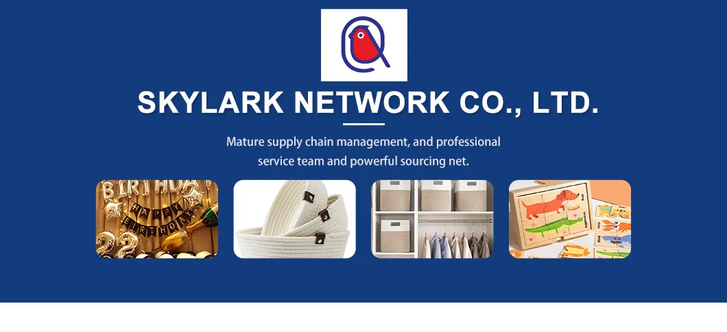 Educational Toy Overview