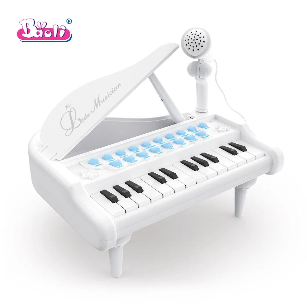 Xylophone Musical Instrument