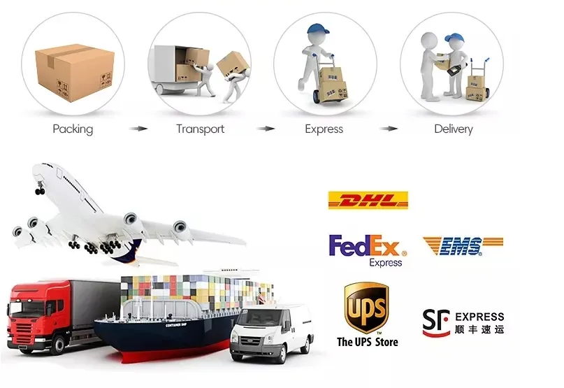 Shipping Logistics