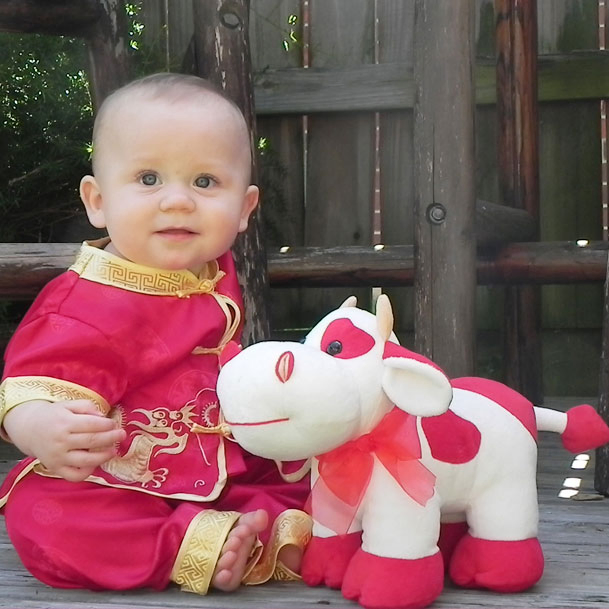 Custom Cuddle Plush Soft Cow Toy for Kids/Children