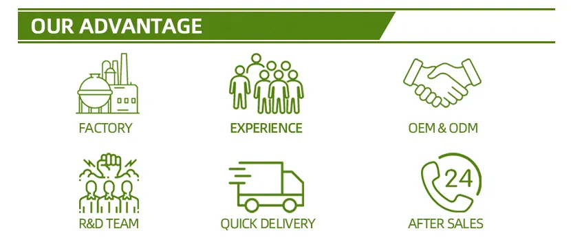 Educational Toy Details