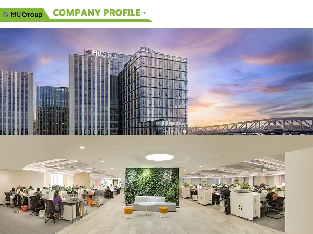 Beach Toy Collection